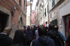 carrara_15