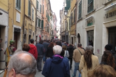 carrara_21