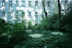 002_eingang_und garten