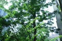 004_aussicht